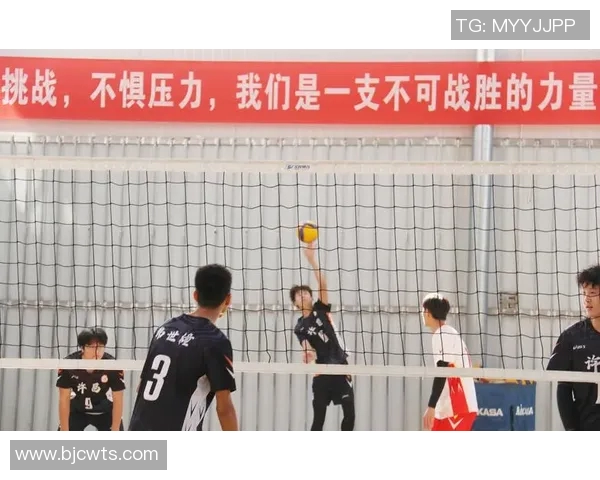 排球盛宴：深入解析成都排球队的默契配合与战术策略