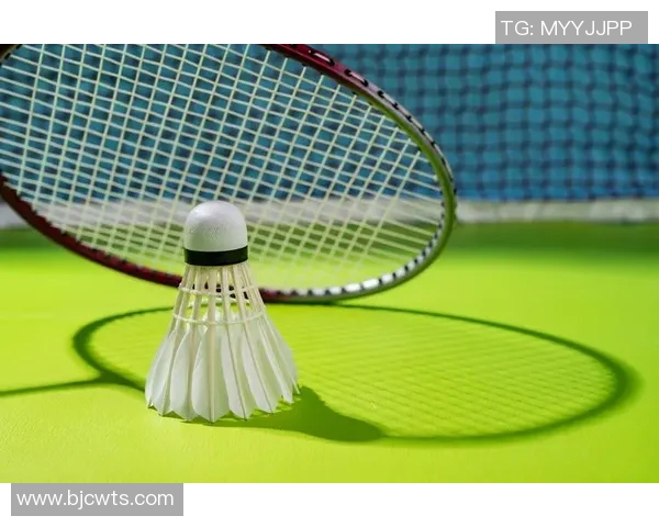 深度分析成都羽毛球队防反战术的优势与应用策略