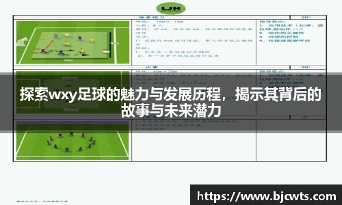 探索wxy足球的魅力与发展历程，揭示其背后的故事与未来潜力