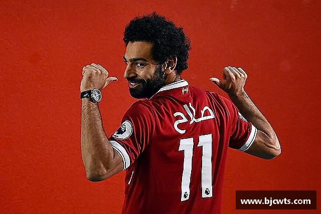 介绍bevictor伟德